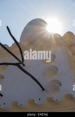 Olivengarten, Salvador Dali, Port Lligat, Cap de Creus, Costa Brava, Girona, Spanien, Katalanien, Portlligat Stockfoto