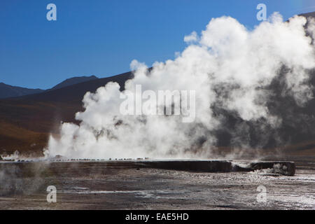 Dampf steigt aus einem Geysir El Tatio, der Atacama-Wüste, Chile. Stockfoto