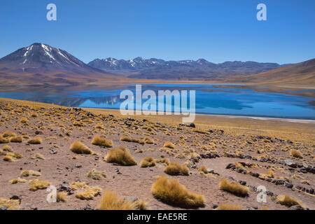 Laguna Miscanti und Berge in der Atacama-Wüste, Chile. Stockfoto