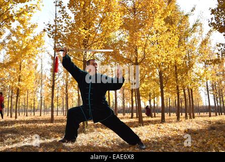 Ji'nan, der chinesischen Provinz Shandong. 13. November 2014. Ein Mann übt bei einem Ginkgo-Wald in Ji'nan, Hauptstadt der ostchinesischen Provinz Shandong, 13. November 2014. © Xu Suhui/Xinhua/Alamy Live-Nachrichten Stockfoto