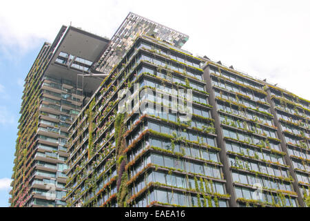 Ein Stadtpark Entwicklung Häuser, Wohnungen und Einheiten in Chippendale, Sydney, new-South.Wales, Australien Stockfoto