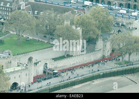 London, UK. 13. November 2014. Freiwilligen begonnen entfernen mehr als 800.000 Mohn aus dem Graben in den Tower of London, die Teil von der ' Blut Mehrfrequenzdarstellung Länder und Meere von Red Installation zum Gedenken an die gefallenen britischen Soldaten des 1. Weltkrieges Credit: Amer Ghazzal/Alamy Live-Nachrichten Stockfoto