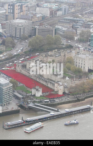 London, UK. 13. November 2014. Freiwilligen begonnen entfernen mehr als 800.000 Mohn aus dem Graben in den Tower of London, die Teil von der ' Blut Mehrfrequenzdarstellung Länder und Meere von Red Installation zum Gedenken an die gefallenen britischen Soldaten des 1. Weltkrieges Credit: Amer Ghazzal/Alamy Live-Nachrichten Stockfoto