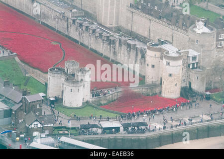 London, UK. 13. November 2014. Freiwilligen begonnen entfernen mehr als 800.000 Mohn aus dem Graben in den Tower of London, die Teil von der ' Blut Mehrfrequenzdarstellung Länder und Meere von Red Installation zum Gedenken an die gefallenen britischen Soldaten des 1. Weltkrieges Credit: Amer Ghazzal/Alamy Live-Nachrichten Stockfoto