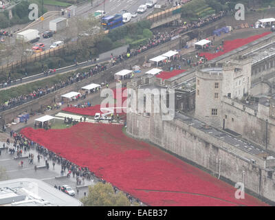 London, UK. 13. November 2014. Freiwilligen begonnen entfernen mehr als 800.000 Mohn aus dem Graben in den Tower of London, die Teil von der ' Blut Mehrfrequenzdarstellung Länder und Meere von Red Installation zum Gedenken an die gefallenen britischen Soldaten des 1. Weltkrieges Credit: Amer Ghazzal/Alamy Live-Nachrichten Stockfoto