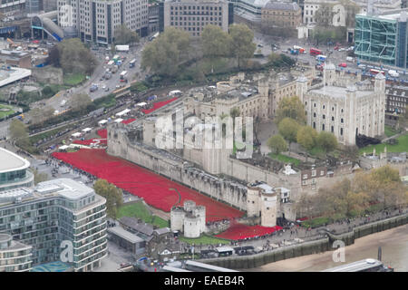 London, UK. 13. November 2014. Freiwilligen begonnen entfernen mehr als 800.000 Mohn aus dem Graben in den Tower of London, die Teil von der ' Blut Mehrfrequenzdarstellung Länder und Meere von Red Installation zum Gedenken an die gefallenen britischen Soldaten des 1. Weltkrieges Credit: Amer Ghazzal/Alamy Live-Nachrichten Stockfoto