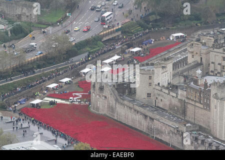 London, UK. 13. November 2014. Freiwilligen begonnen entfernen mehr als 800.000 Mohn aus dem Graben in den Tower of London, die Teil von der ' Blut Mehrfrequenzdarstellung Länder und Meere von Red Installation zum Gedenken an die gefallenen britischen Soldaten des 1. Weltkrieges Credit: Amer Ghazzal/Alamy Live-Nachrichten Stockfoto