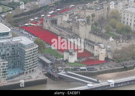 London, UK. 13. November 2014. Freiwilligen begonnen entfernen mehr als 800.000 Mohn aus dem Graben in den Tower of London, die Teil von der ' Blut Mehrfrequenzdarstellung Länder und Meere von Red Installation zum Gedenken an die gefallenen britischen Soldaten des 1. Weltkrieges Credit: Amer Ghazzal/Alamy Live-Nachrichten Stockfoto