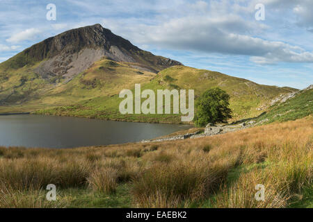 Die Morgensonne leuchtet auf der Seite des Y Garn Llyn Dywarchen, Snowdonia, Nordwales überragt. Stockfoto