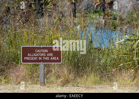 Warnhinweis Alligatoren in der Region Florida State Park USA Stockfoto