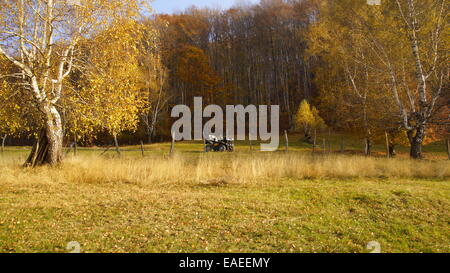 ATV in der Nähe von einem Birkenwald im Herbst. Stockfoto