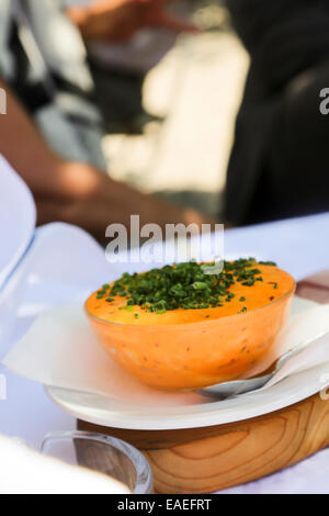 Camembert Käse Vorspeise Stockfoto