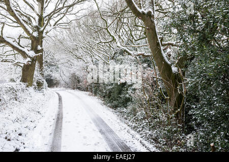 Englischen Country Lane im Schnee mit Eichen und Holly. Auto-Spuren im Schnee. Stockfoto