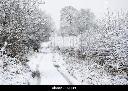 Verschneite englische Feldweg in der Nähe des Dorfes Broadbottom. Schneebedeckten Bäumen, Hecken und Auto-Spuren im Schnee. Stockfoto