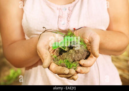 Frauenhand halten Erdbeer im Dreck Stockfoto