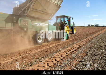 John Deere Traktor Ernte invertiert "spanischen" Erdnüsse. Stockfoto