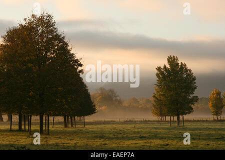 Landschaft im Killarney National Park in den frühen Morgenstunden. County Kerry, Irland. Stockfoto