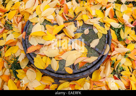 Herbstlaub auf dem Boden, der auf einem Schachtloch liegt Abdeckung Stockfoto