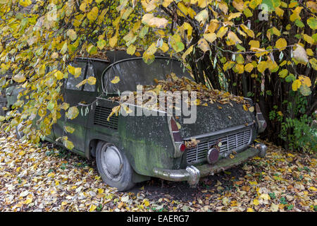 Verlassene Tschechische Oldtimer Skoda 1000 mb in Holz Stockfoto