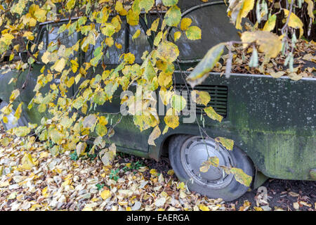 Verlassene Tschechische Oldtimer Skoda 1000 mb in Holz Stockfoto