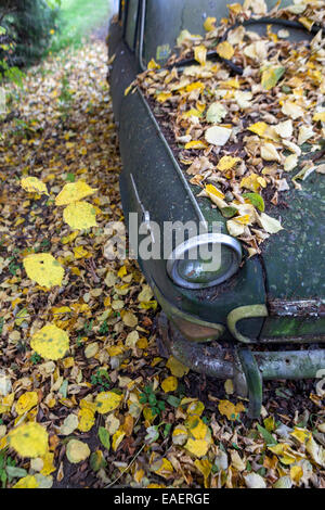 Verlassene Tschechische Oldtimer Skoda 1000 mb in Holz Stockfoto