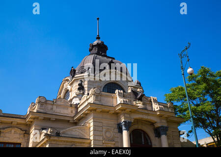 Die Szechenyi Furdo in Budapest, Ungarn. Stockfoto