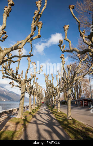 Aix Les Bains und Lac du Bourget in Aix-Les-Bains, Savoie, Frankreich Stockfoto