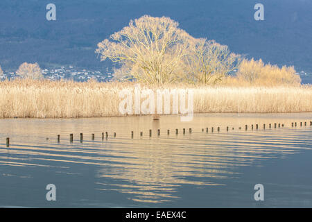 Lac du Bourget in Aix-Les-Bains, Savoie, Frankreich Stockfoto