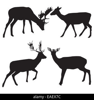 Silhouetten von männlichen und weiblichen Hirsche Stockfoto