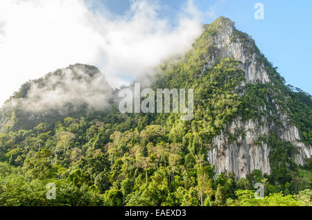 Üppige hohen Kalkberg fallenden Nebel umgeben von tropischen Wäldern von Thailand Stockfoto