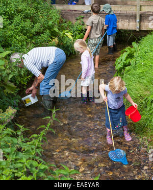 Gruppe von Kindern in einem Stream mit Netzen zu fischen. Stockfoto