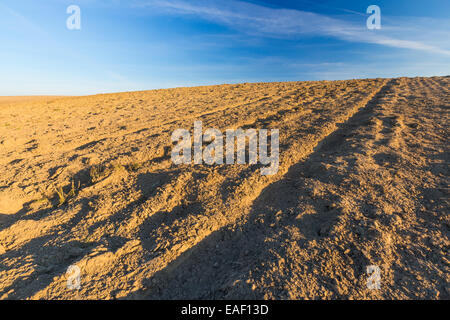 Gepflügtes Feld unter blauem Himmel Landschaft Stockfoto