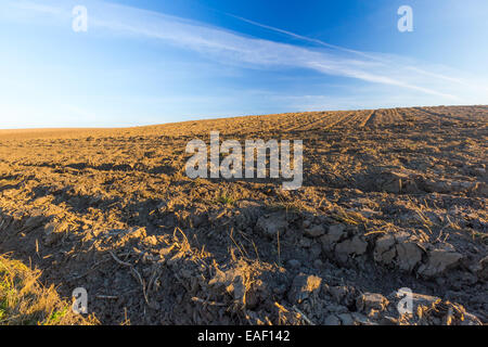 Gepflügtes Feld unter blauem Himmel Landschaft Stockfoto