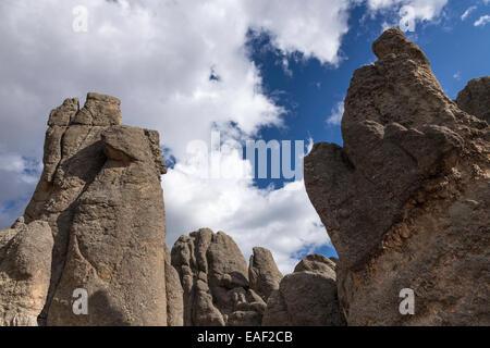 Nadeln-Highway im Custer State Park, South Dakota, USA Stockfoto