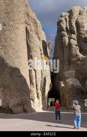 Nadeln-Highway im Custer State Park, South Dakota, USA Stockfoto