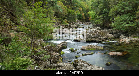 Der Fluß Glaslyn fließt zwischen den Bäumen und Felsen des Aberglaslyn Passes in Snowdonia, Gwynedd, Nordwales Stockfoto