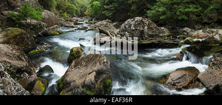 Der Fluß Glaslyn fließt zwischen den Bäumen und Felsen des Aberglaslyn Passes in Snowdonia, Gwynedd, Nordwales Stockfoto