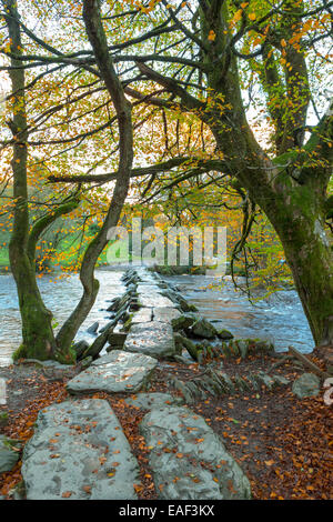 Tarr Steps an einem späten Nachmittag Herbst wit ha nur wenige Blätter, die noch auf die Buche Stockfoto