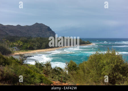 Die Gillin Strand Kauai Hawaii USA Stockfoto