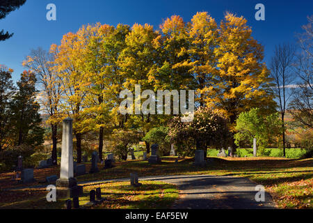 Grün und orange Ahorn Baumreihe an der Peacham Ecke Friedhof Vermont USA im Herbst Stockfoto