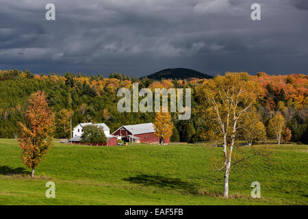 Sonnigen Pause auf Bauernhof mit dunklen Wolken unter Bäumen im Herbst Farbe Groton Vermont USA Stockfoto