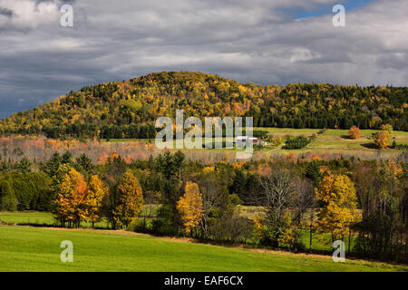 Isolierte Bauernhaus unter Orangenbäumen im Herbst Farbe unter Blue Mountain Hügellandschaft Vermont USA Stockfoto