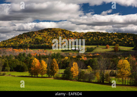 Bauernhaus zwischen grünen Wiesen und Waldbäume im Herbst Farbe auf Blue Mountain Hügellandschaft Vermont USA Stockfoto