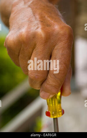 Älterer Mann Hand mit einen Schraubendreher holding Stockfoto