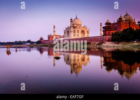 Das Taj Mahal bei Sonnenuntergang, Agra, Uttar Pradesh, Indien Stockfoto