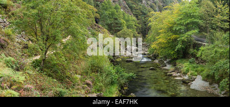 Die Straße und einem Stein Weg Linie des Flusses Glaslyn fließt zwischen den Bäumen und Felsen des Aberglaslyn Passes in Snowdonia Stockfoto