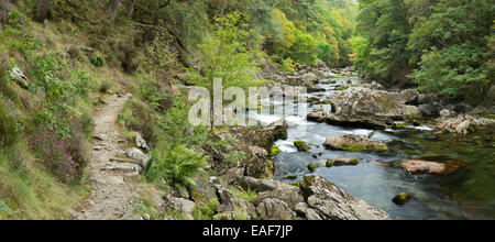 Die einen Pflasterweg Linien des Flusses Glaslyn fließt zwischen den Bäumen und Felsen des Aberglaslyn Passes in Snowdonia, Gwynedd Stockfoto