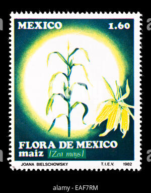 Briefmarke aus Mexiko Mais Blumen darstellt. Stockfoto