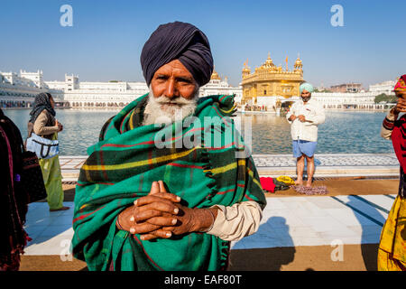 Porträt von einem älteren Sikh Mann, der Goldene Tempel in Amritsar, Punjab, Indien Stockfoto