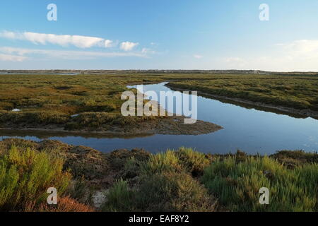 Kurvige Wasserstrom befindet sich im Naturschutzgebiet Ria Formosa an der Algarve, Portugal Stockfoto